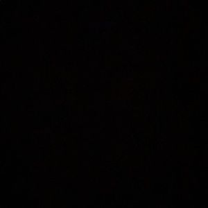 Meet your Posher, Adina